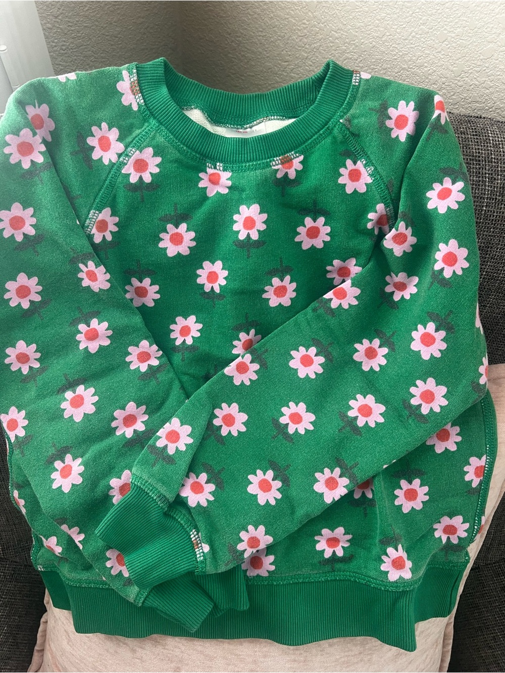 Hanna Andersson Green Sweatshirt with Pink Daisy Print